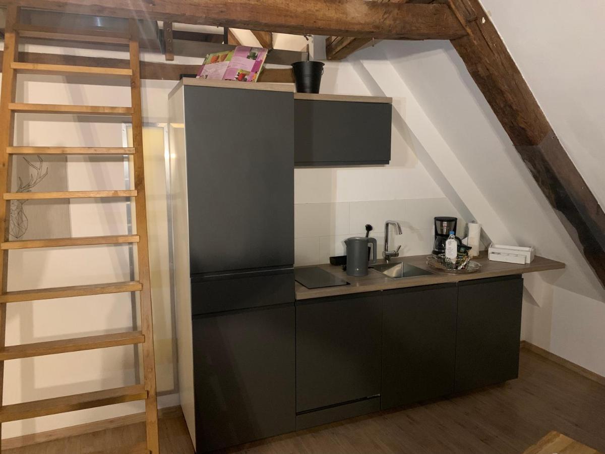Lemperdenkmal Muenster Apartment Luaran gambar
