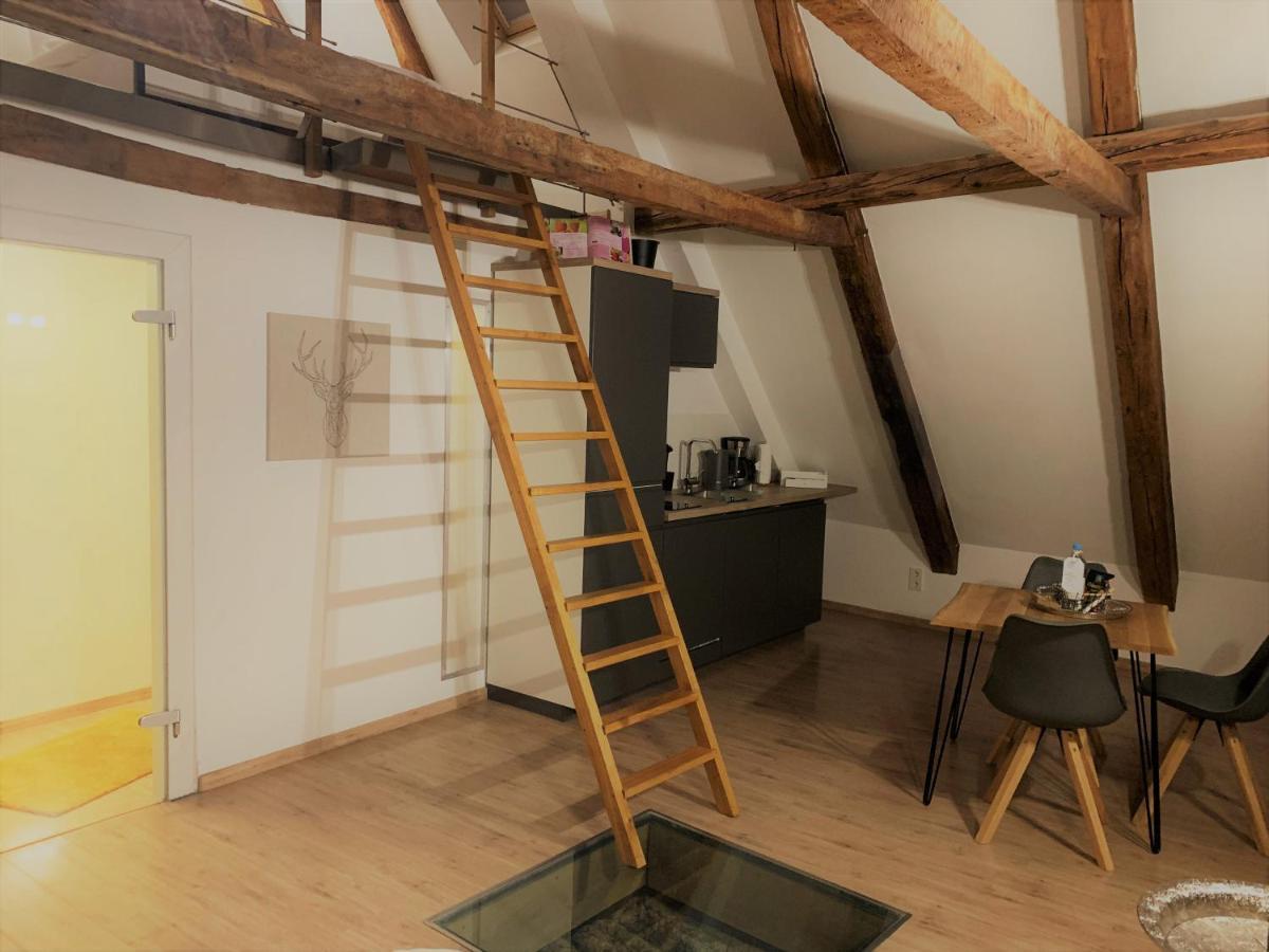 Lemperdenkmal Muenster Apartment Luaran gambar